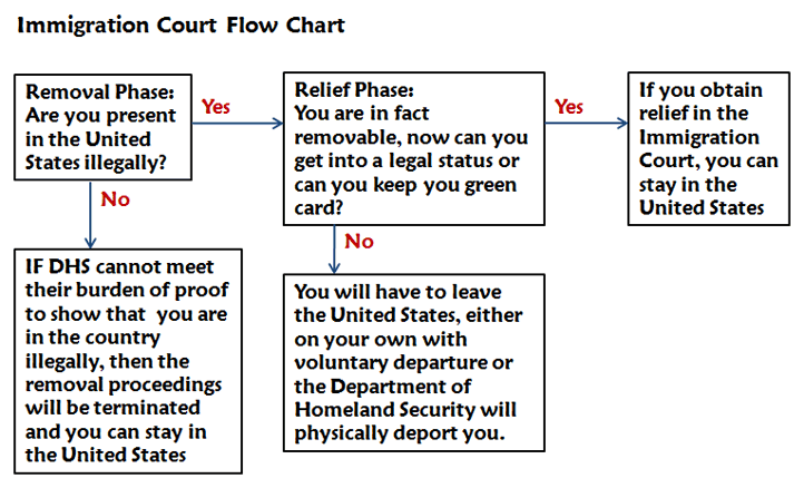Deportation Defense Flow Chart